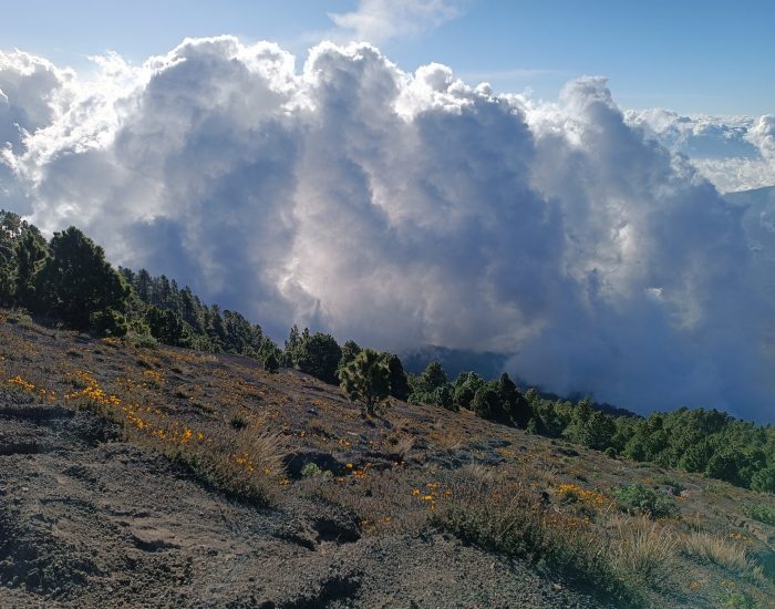 Manchmal ist man mitten in den Wolken
