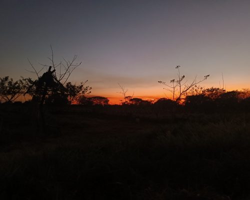 Der letzte Sonnenuntergang des Jahres